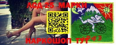 стафф Новокубанск