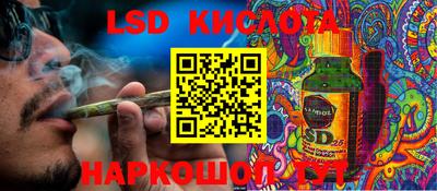 мдпв Новозыбков
