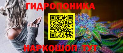 мдпв Новозыбков