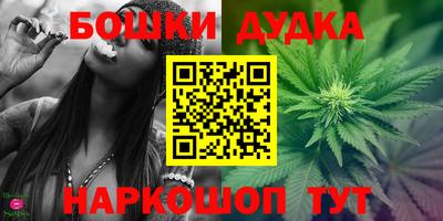 стафф Новокубанск