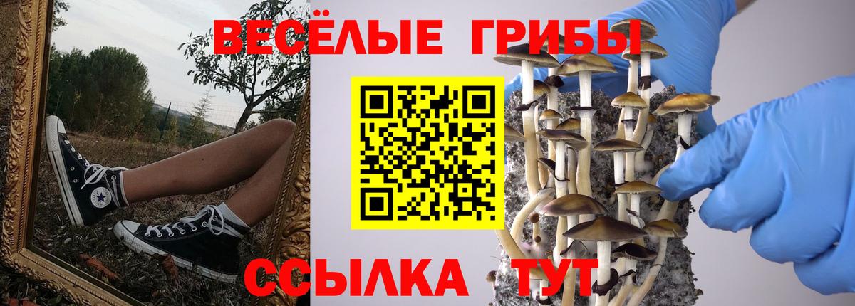 Как найти закладки?  ГАШ  Северск  Каннабис  Меф МЯУ МЯУ   MDMA  Cocaine  Вход с VPN  A-PVP СОЛЬ  