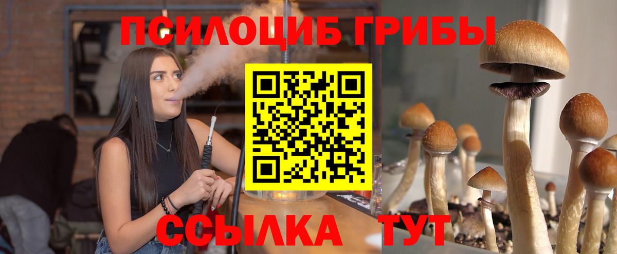 Галлюциногенные грибы прущие грибы  Галлюциногенные грибы Magic Shrooms  Северск  Вход с VPN 